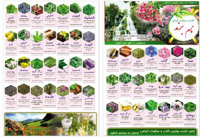 طرح لایه باز بروشور عرقیات گیاهی پشت ورو به صورت عمودی