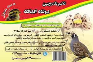 طرح لایه باز برچسب بلدرچین