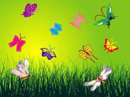 وکتور پروانه های در حال پرواز با پس زمینه زیبا2